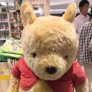 ねぎ子の画像