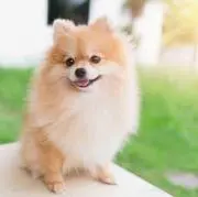 SMILE★