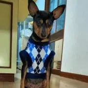 Fukuちゃん