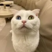 Mの画像