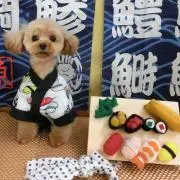 高西一直の画像