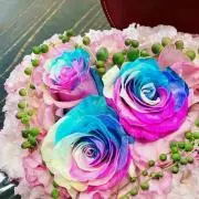 NShop❤️アウトレット品セール中❤️の画像