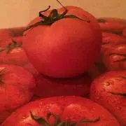トマトとゆでたまごの画像