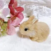 Junの画像