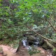 ⭐︎サムライ⭐︎