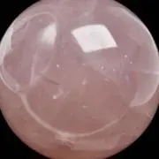 ぬーの画像