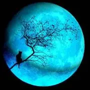 Blue Moon（断捨離強化月間！！)の画像