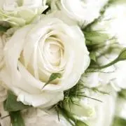 みるく