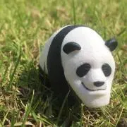 ぱんだっこ☆の画像
