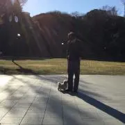 Tomeichiの画像