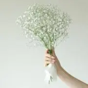 hoshiの画像