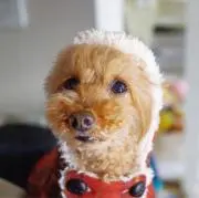 あいら‧⁺ ⊹˚の画像