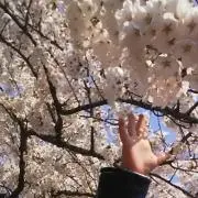 おまとめ大歓迎☆の画像