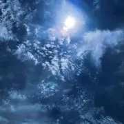 ミント00