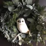 さとりの画像