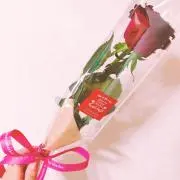 kyu9✩⃛ೄ