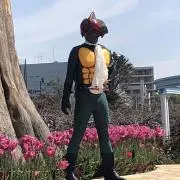 ベーやんの画像
