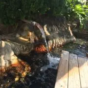 シズク