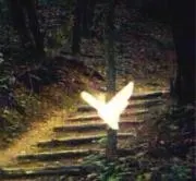 satosiの画像