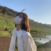 yの画像