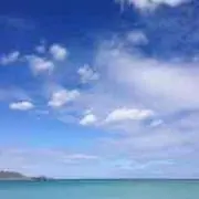ちーの画像