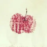 tの画像