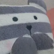 ぽむ♡プロフ必読の画像
