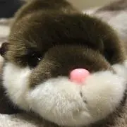 なちの画像