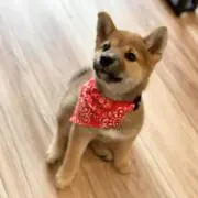 Y & Tの画像