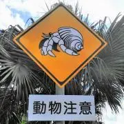Toshiの画像