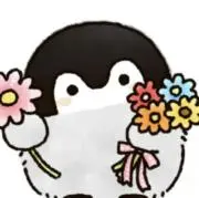 ペンギンの画像