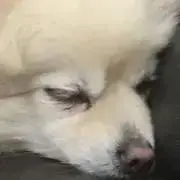 ＊HIRO＊の画像