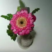 たまちゃんの画像
