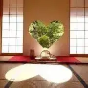 msmの画像