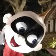 Hashimoの画像