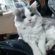 み～の画像