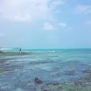 ゆずぽんの画像