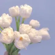 佳涼/書道の画像