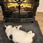 優杏の画像