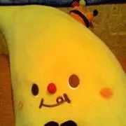 ベックの画像