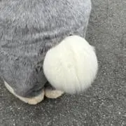 即日発送の画像