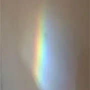 jjj 即購入可の画像