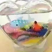プロフ必読　ストロベリーローズの画像