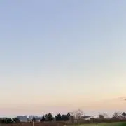たまつの画像