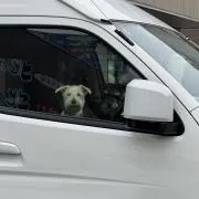 さちゃーん