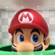 yumaの画像