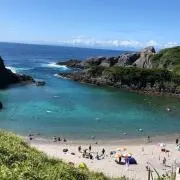 マロさんの画像