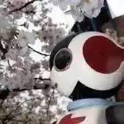 ねこ0203の画像