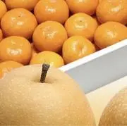 こかりの画像