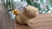 sarの画像
